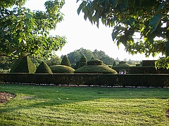 480 Longwood Gardens [2008 August 23]